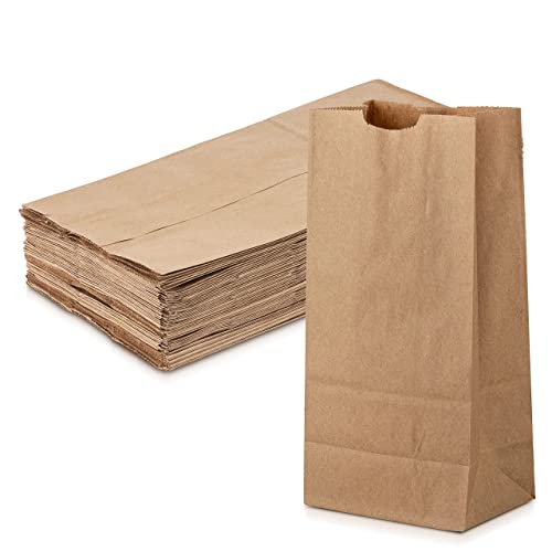 Grocery/Lunch Bag, Kraft Paper, 8 lbs. Capacity, Multipurpose Use, Brown Paper Bags Perfect for Shopping, Storage, Small Trash Cans and More - by MT Products (100 Count)