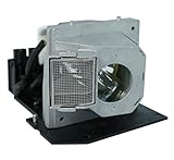 GOLDENRIVER BL-FS300B Projector Lamp with Original Bulb and Generic Housing Compatible with Optoma EP1080 EP910 HD8000 HD8000-LV HD800X HD803 HD806 HD81 HD81-LV HD930 HD980 HT1080 HT1200 TX1080