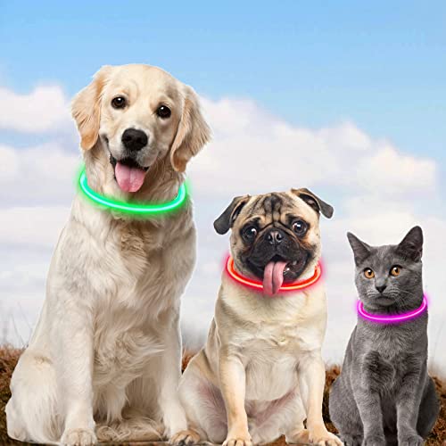 AUAUY LED Dog Collar, Light Up Dog Collars USB Rechargeable, Glowing Collar, Universal Flash Dog Necklace Light, Reusable Pet Safety Necklace for Small Medium Large Cats and Dogs-Colorful - Image 6