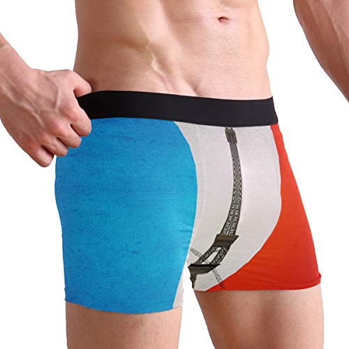Men's Underwear Eiffel Tower On French Flag Boys' Boxer Brief2