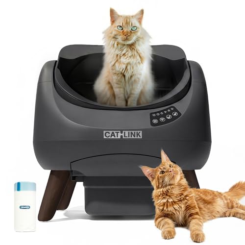 CATLINK Lettiera Autopulente per Gatti, Design Aperto con Ingresso dall'Alto,