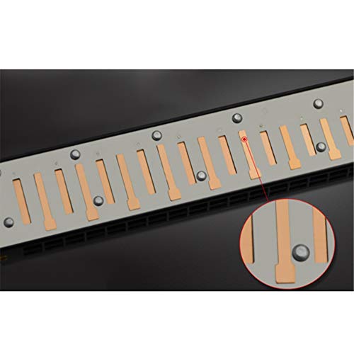Harmonica Pack De 3 Pièces Standard C Clé 24 Trous Harmonica Polyphonique Enfants Instrument De Musique pour Débutants… - Les Beatles, Paul McCartney, John Lennon, RIngo Starr, George Harrison Harmonica Pack De 3 Pièces Standard C Clé 24 Trous Harmonica Polyphonique Enfants Instrument De Musique pour Débutants… – Image 6
