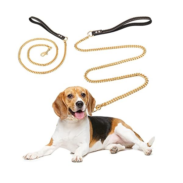 sturdy dog leash