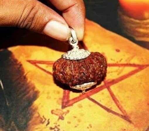 Real & Natural 19 Mukhi Rudraksha Original Certified A1 Grade 19 Face Rudraksh in Silver Capped Amazing Ninteen Mukhi Rudraksha for Men & Women 19 मुखी रुद्राक्ष