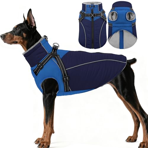 ASENKUˌpR[gn[lXtAht[XnhbOWPbgA^A^A^pA^[glbN&Wbp[t̒g~pxXg(lCr[u[ L)