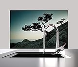 IDEALER SPRITZSCHUTZ - Der Spritzschutz bietet einen optimalen Schutz gegen Fettspritzer und Wärme. Das strapazierfähige Material aus AluDiBond ist hitzebeständig und hält Schmutz und Fettflecken fern.