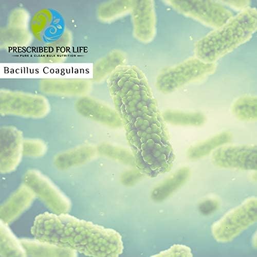 Prescribed For Life Bacillus Coagulans Powder, Lactobacillus Supplement for Gut Health Support, Temperature and Shelf Stable Probiotics, L. Sporogenes (50 Billion/Gram) (1oz / 28g) - Image 2