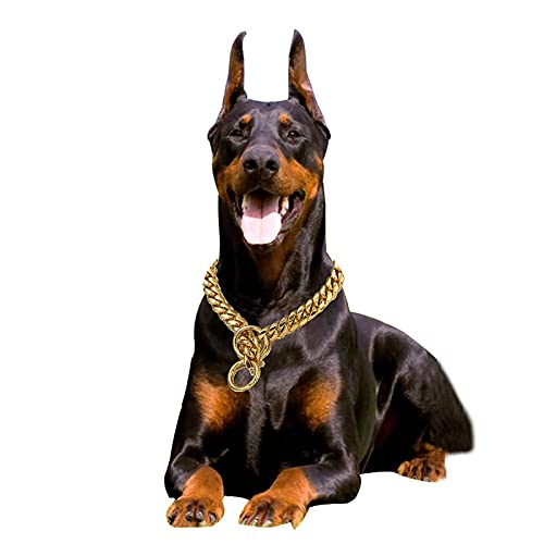 custom chain dog collars