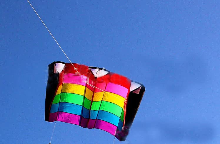 2.3M Rainbow Single Line Parafoil Kite with Free Tail for Adults Outdoor Sports Easy Flying