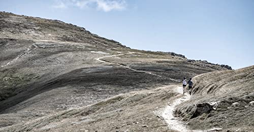 Lé Bent Targeted Cushion 3/4 Crew Trail Sock2