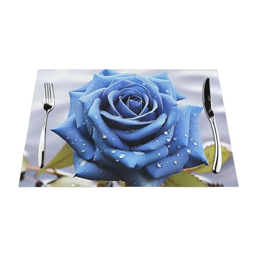 Sets de table lavables en PVC pour protéger votre table des taches - 6