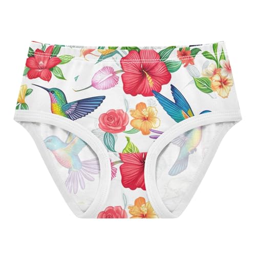 Toddler Underwear Custom 2t Cotton Panties Little Girl Cartoon Briefs Kids Undies Colorful Hummingbirds Floral