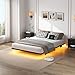 YORMDMO Floating Bed Frame Queen Size, Heavy Duty Bedframe with Smart LED Lights & Charging Station, Modern Metal Platform Bed, Easy Assembly No Box Spring Needed, 8 Inch