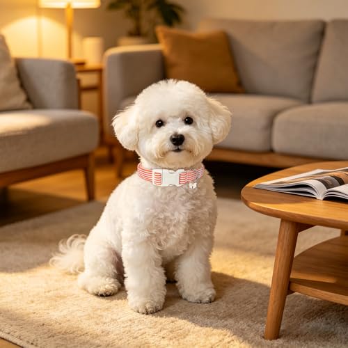 Image of ARING PET Orange Striped Dog Collar for Small Medium Large Boy Girl Dogs-XS | Cotton Fall Winter Puppy Pet Collar for XS S M L XL Dogs, Soft Sturdy Comfortable, Daily Wear Park Play Neighborhood Stroll