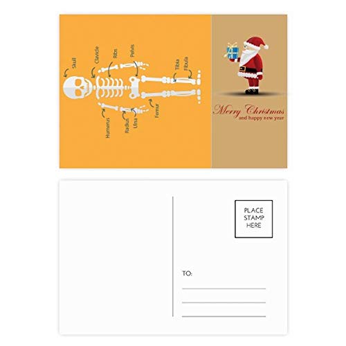 Cartes postales Noël os humain cartoon pour éviter les vœux banals