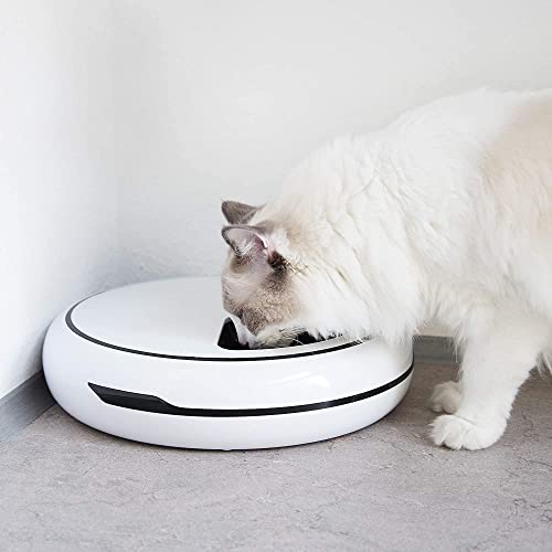 Automatischer Futterautomat für Katzen und kleine Hunde von Navaris