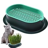 Césped para Gatos Caja, Caja Hierba Gatera para Gatos, Caja De Plantación Hidropónica, Cuencos para Plantas De Hierba para Gatos, Bandeja para Plantas Hidropónicas, para Perros Gatos y Mascotas