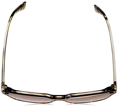 Óculos de sol óculos de sol, Polo London Club, Feminino, Marrom, único