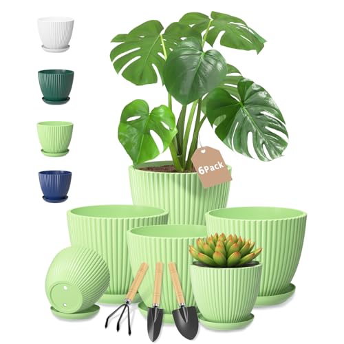 VASZOLA Light Green Plant Pot Plastic Planter with Drainage Holes and Saucer Tray for Indoor Flower, Medium to Small 19/17/15/13/11/9 cm, Modern House Decorative Gardening Round Pot, Set of 6