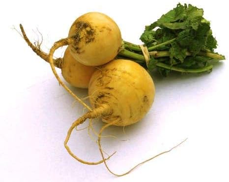 Miniatura 2 de Semillas de nabo Golden Ball para plantar, más de 1000 semillas de reliquia por paquete, semillas de jardín de Isla (semillas de jardín de Isla),