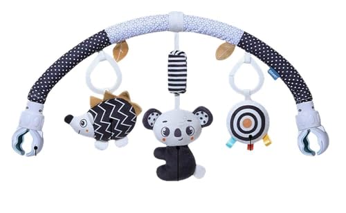 Amonimo xr[J[A[`  oɎh xbhNbv 瑣i Q xr[J[pߋ cpQ fGȃANeBreBA[`Ԃ̊oh܂ ?肳 ɗDn oYj (RA) [sAi]