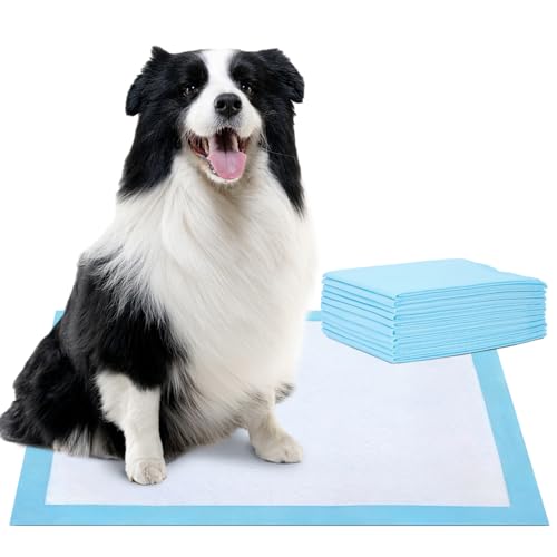 Empapadores Perros Adhesivos Marca Nobleza