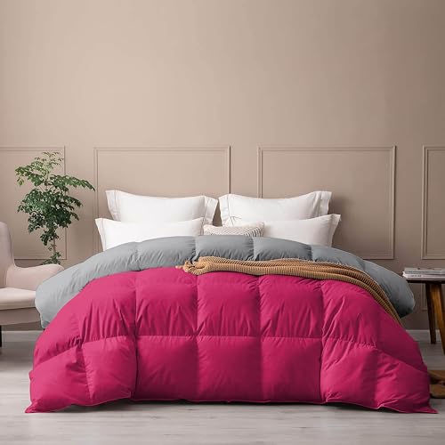 Image of PURE ECO Reversible Comforter King Size - Soft Microfiber 300 GSM Comforter for Winter - Soft & Luxury Design Duvet /Blanket King Size (90 inchX106 inch) - Hot Pink /Silver Grey Color
