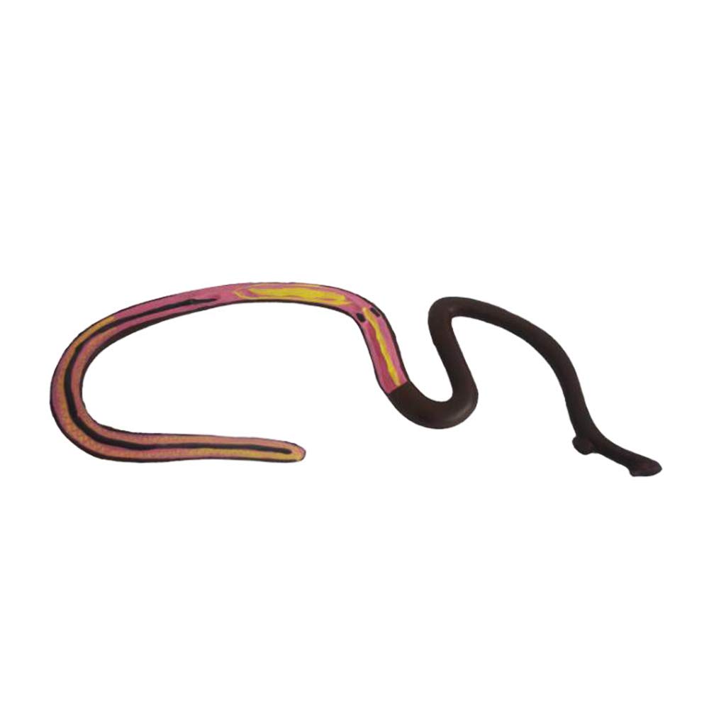 Sjdopulse Men's A Educational Model Schistosom Model - Natomy Model Hermaphrodite Schistosom Model - Pvc Material Specical Nimal Natomical Model - For Study Teaching (A)