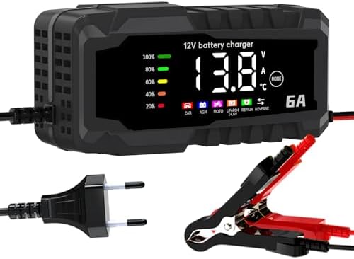 Caricabatterie Automatico FOXSUR 10A Per Batterie Al Litio LiFePO4 – 12/24V
