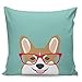 Sea Girl Soft Teagan Glasses Corgi Cute Puppy Welsh Corgi Gifts For Dog Lovers And Pet Owners Love Corgi Puppies Throw Pillow Indoor Cover Pillow Case For Your Home(18in x 18in)