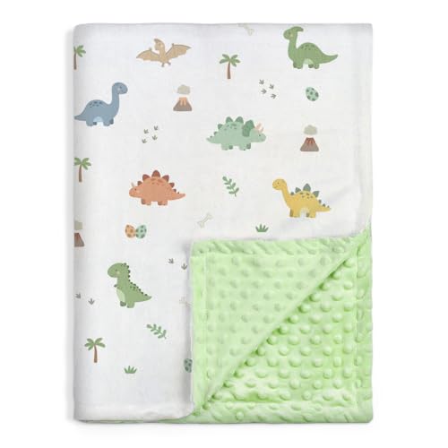 Image of SANDJEST Dinosaur Minky Blanket 30 x 40 Inches, Gift for Christmas Birthday