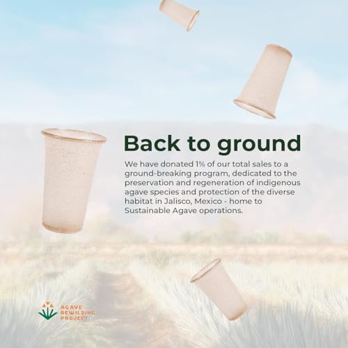 Sustainable-Agave-Co-Sweet-Agave-Fiber-Cups-12-Ounce-100-Count-Biodegradable-Plant-Based-Made-With-Upcycled-Materials-Clear
