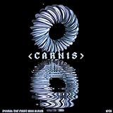 CARNIS ⇆ CARNIS