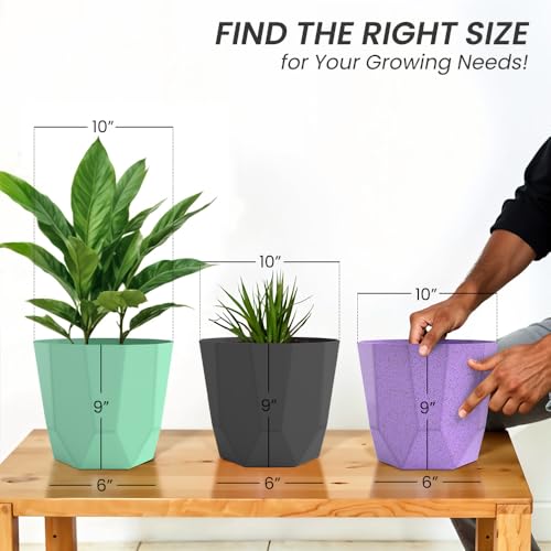Image of YUCCABE ITALIA SHERA Hexa Plastic Planter Pot for Plants | Decorative Flower Pot | UV Protected Lightweight Indoor Outdoor Gamla for Home Decor, Balcony, Garden & Living Room