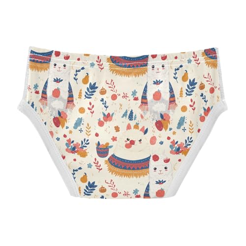 visesunny Boys Potty Training Underwear Colorful Cute Alpaca Breathe Cotton Briefs Size 2T-8Y for Toddler2