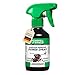 Produktbild RepellShield® Natürliches Geraniol Ameisenspray für Innenräume & Außen - Ameisen Mittel mit ätherischen Ölen - Zitrusduft - Alternative zu Ameisenköder & Ameisenfalle für innen, 250ml