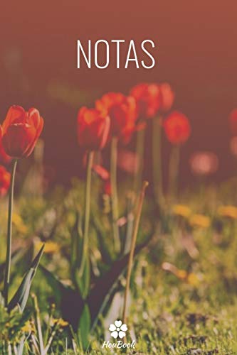 NOTAS: Caderno clássico com capa mole. (Portuguese Edition)