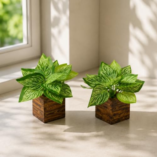 Image of DecoreBugs Artificial Real Touch Flower Plant with Pot (Pack of 2), 16 cm Height, Decorative Faux Floral Plant for Home, Office, Living Room, Bedroom, Table & Shelf Decor