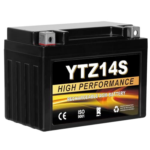 Daakmax YTZ14S 12V 11.2Ah AGM Sealed Motorcycle Battery Maintenance-Free Compatible with Honda Yamaha BMW Motorcycles & Scooters
