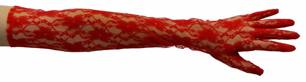 GreatlookzFabulous Nylon Lace Opera Length Gloves