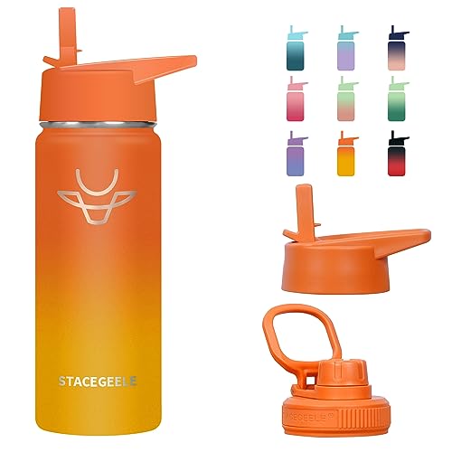 Stacegeele Insulated Vacuum Water Bottle For Kids With Straw Lid Stainless Steel Flask Thermos For Boys And Girls Leak Proof Lightweight Eco Friendly 18Oz(550Ml), Orangeade #TOP4