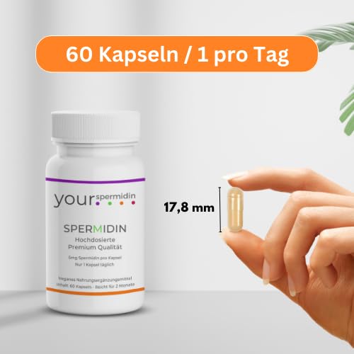 Hochdosierte Spermidin-Kapseln mit 5 mg aus Weizenkeimextrakt