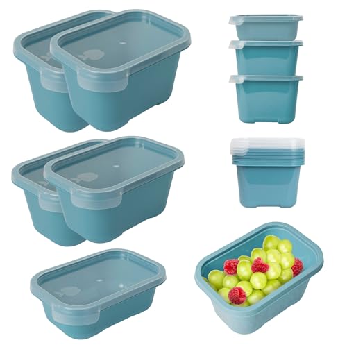 Mypicompany. Recipientes Herméticos para Alimentos, 5 Piezas (1x500ml + 2x750ml + 2x1000ml). Envases para Alimentos Aptos para Microondas y Lavavajillas. Envases de Plastico con Tapa Color Azul.