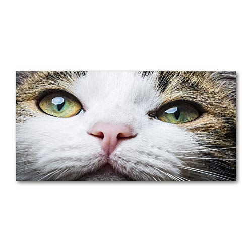 Crédence de cuisine 100x50cm en verre trempé blanc Les Yeux du Chat Vert