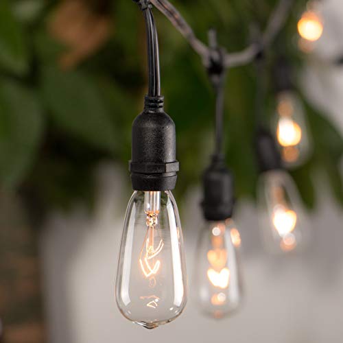 Brightown ST40 Edison Replacement Light Bulbs 10-Pack #TOP7
