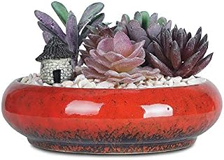 ARTKETTY Succulent Plant Pot, 15.5CM Large Bonsai Pot with Tray Ceramic Flower Pot with Drainage Hole Shallow Cactus Plant Pots for Indoor/Outdoor Plants Glazed Planter Bowl, White
