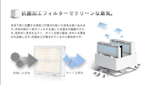 スタドラフォーム　オスカー　エバポレーター　加湿器　フィルターセット スタドラフォームオスカーエバポレーター加湿器フィルターセット