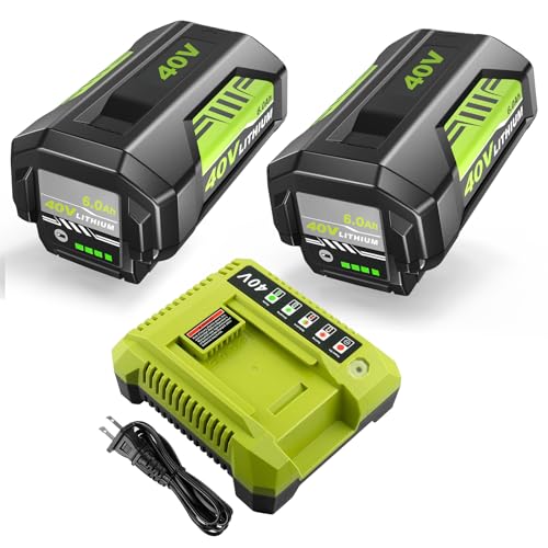 Coraybat 2 Pack 40V 6.0Ah Battery and Charger Replacement for Ryobi 40V Battery and Charger Combo Compatible with Ryobi 40 Volt Cordless Power Tools