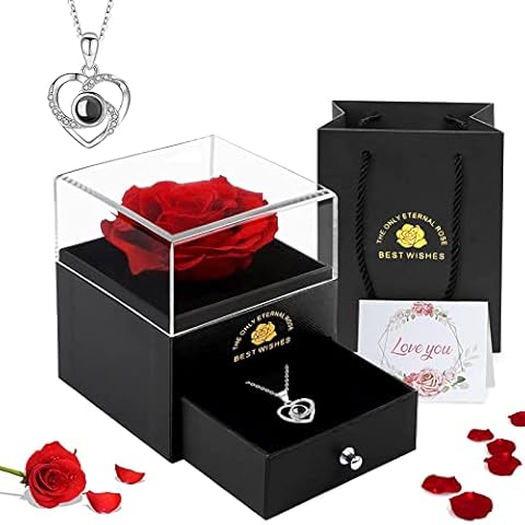 EGEKTBH Valentines Gifts for Her, Handmade Preserved Eternal Rose Gift Box with Love You Necklace, Artificial Rose Flowers Romantic Gifts for Women on Birthday, Anniversary, Mothers Day Cover