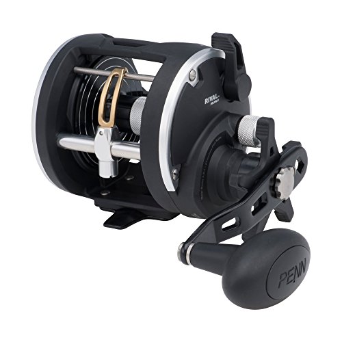 Image of PENN Rival Level Wind Conventional Fishing Reel